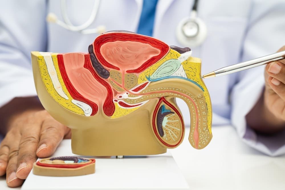 Disfunción eréctil
